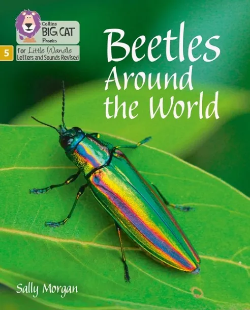 BEETLES AROUND THE WORLD (SET 4)-NON-FICTION PHASE 5
