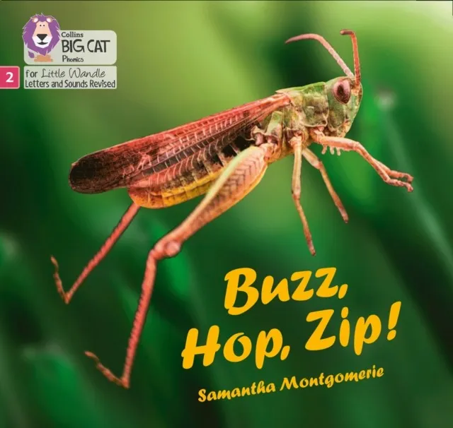 BUZZ, HOP, ZIP (SET 5)-FICTION PHASE 2