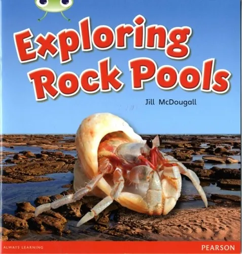 EXPLORING ROCK POOLS