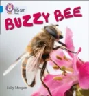 BUZZY BEES -NON-FICTION-BLUE - BAND 4