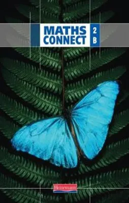 MATHS CONNECT 2B SB