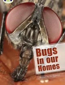 BUGS IN OUR HOMES