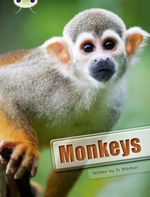 MONKEYS