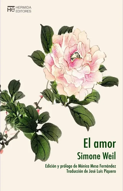 AMOR, EL 4ªED