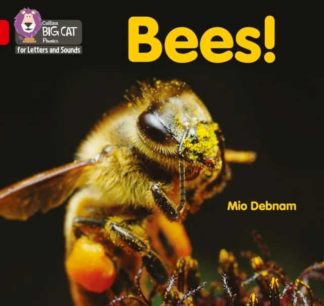 BEES! (SET 5) -NON-FICTION-RED - BAND 2B