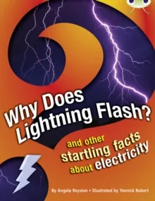 WHY DOES LIGHTNING FLASH?