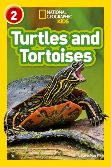 TURTLES AND TORTOISES -NGKR LEVEL 2