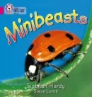 MINIBEASTS -NON-FICTION-PINK - BAND 1A