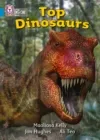 TOP DINOSAURS-NON-FICTION-BLUE - BAND 4