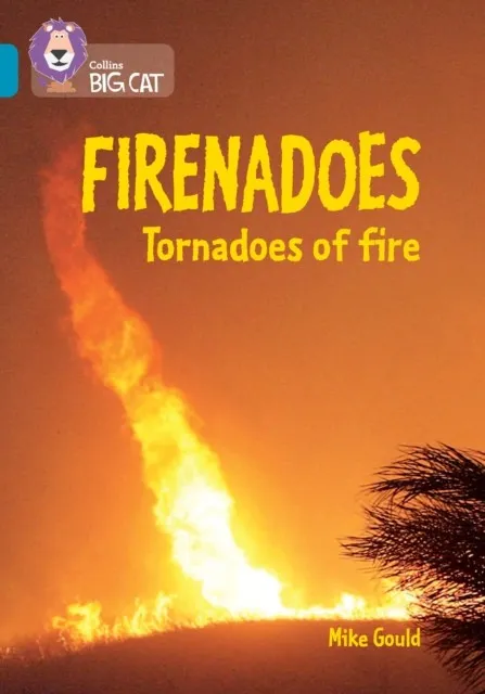 FIRENADOES: TORNADOES OF FIRE-NON-FICTION-TOPAZ - BAND 13