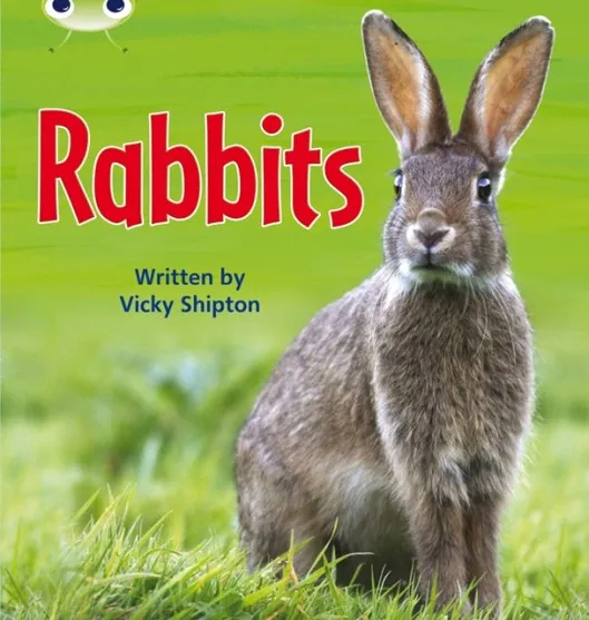 RABBITS