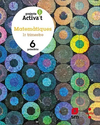 6è EP MATEMÀTIQUES ACTIVA'T 19