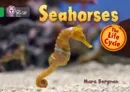 SEAHORSES -FICTION-GREEN - BAND 5