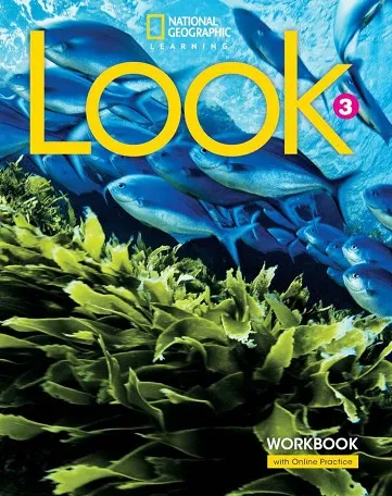 LOOK LEVEL 3 WB+ONLINE PRACTICE