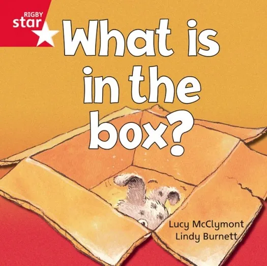 RIGBY STAR INDEPENDENT FOUNDATION RED LEVEL: WHAT IS IN THE BOX?
