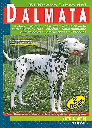 Dálmata
