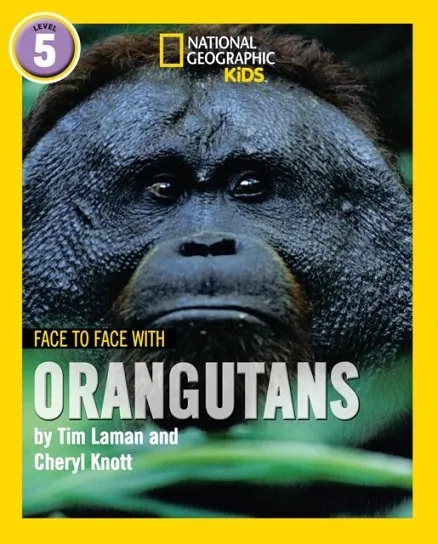 FACE TO FACE WITH ORANGUTANS: LEVEL 5
