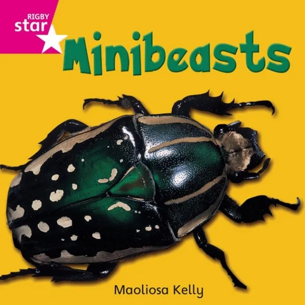 RIGBY STAR INDEPENDENT FOUNDATION PINK LEVEL: MINIBEASTS
