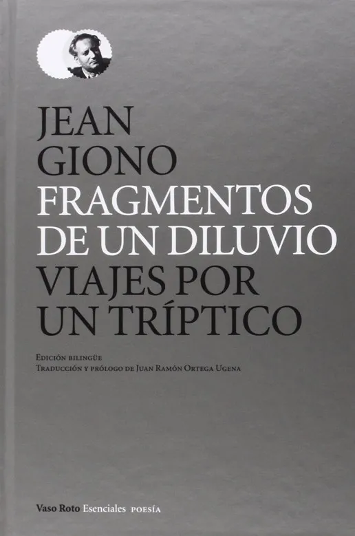 Fragmentos de un diluvio. Viajes por un tríptico