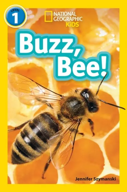 BUZZ, BEE!-NGKR LEVEL 1