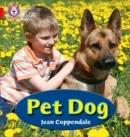 PET DOG -NON-FICTION-RED - BAND 2A