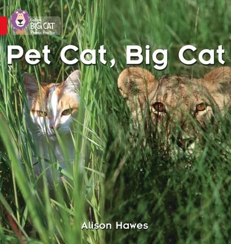 PET CAT, BIG CAT-NON-FICTION-RED - BAND 2A