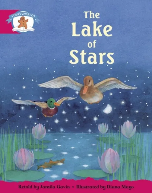 STAGE 5 GREEN BOOK BANDTHE LAKE OF STARS