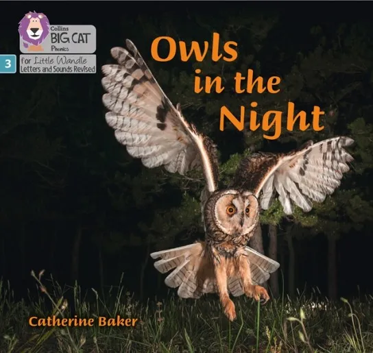 OWLS IN THE NIGHT (SET 2)NON-FICTION PHASE 3