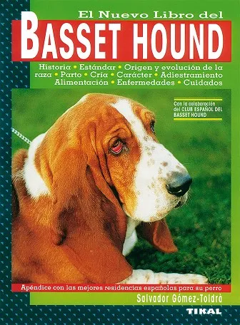 Basset hound