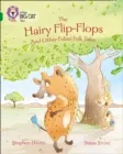 THE HAIRY FLIP-FLOPS AND OTHER FULANI FOLK TALES-FICTION-EMERALD - BAND 15