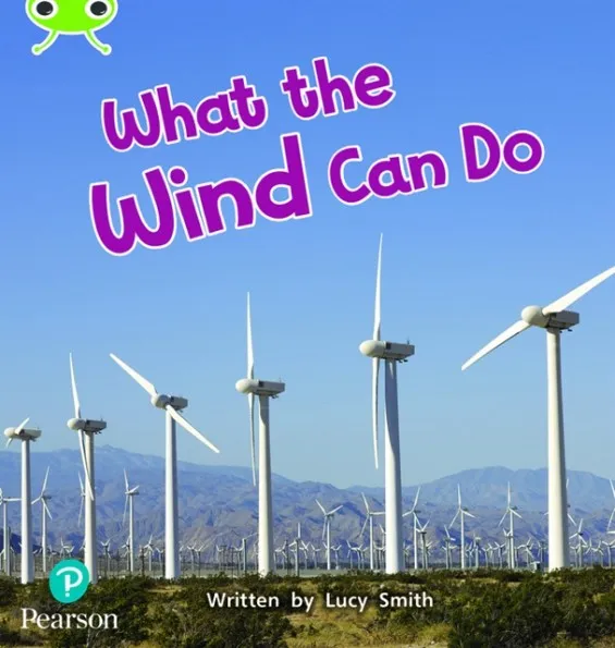 WHAT THE WIND CAN DO