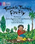 TWINKLE, TWINKLE, FIREFLY (POETRY)-FICTION-PURPLE - BAND 8