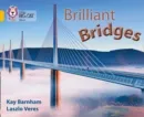 BRILLIANT BRIDGES-NON-FICTION-GOLD - BAND 9