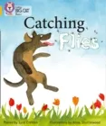 CATCHING FLIES (POETRY) -FICTION-GOLD - BAND 9