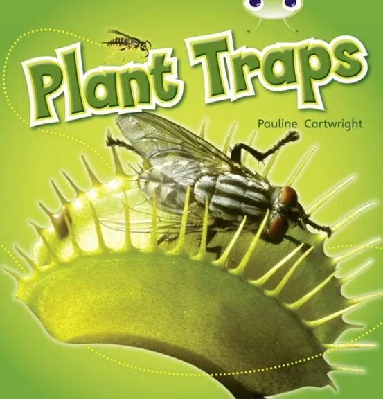 PLANT TRAPS