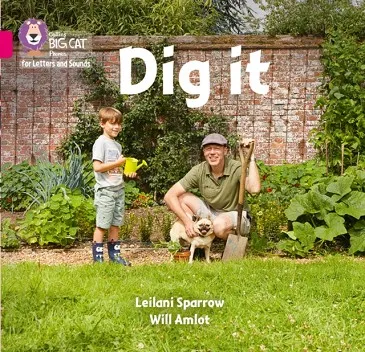 DIG IT (SET 1)-NON-FICTION-PINK - BAND 1B
