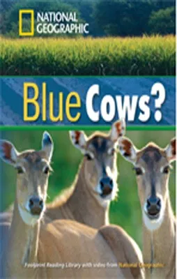 BLUE COWS?+MROM