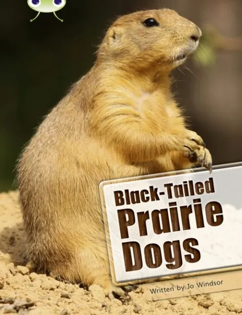 BLACK-TAILED PRAIRIE DOGS