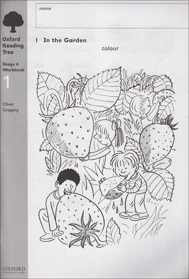 ORT OWLS STAGE 6 WORKBOOK 1 PACK OF 6