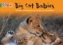 BIG CAT BABIES-FICTION-GREEN - BAND 5