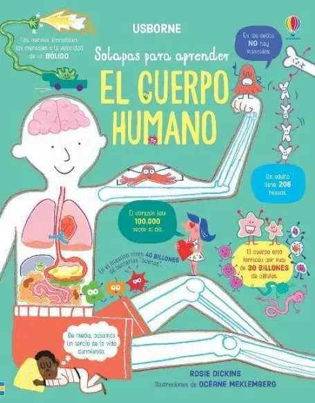 CUERPO HUMANO