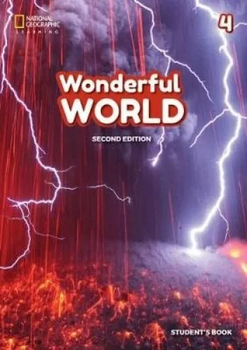 WONDERFUL WORLD 2E 4 TB