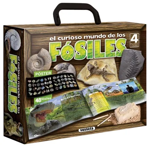 El curioso mundo de los fósiles