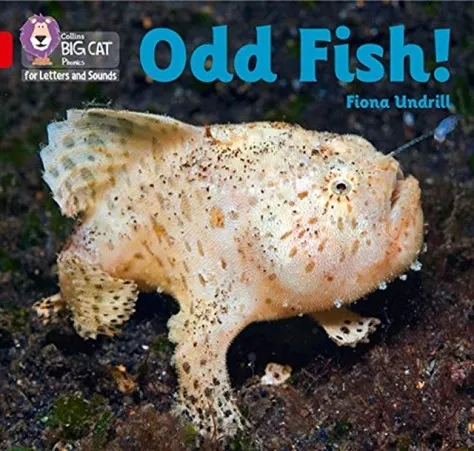ODD FISH! (SET 4)-NON-FICTION-RED - BAND 2B