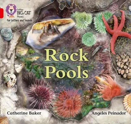 ROCK POOLS (SET 3) -NON-FICTION-RED - BAND 2B