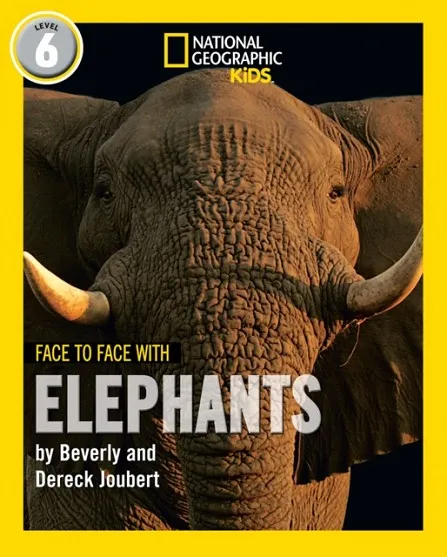 FACE TO FACE WITH ELEPHANTS: LEVEL 6