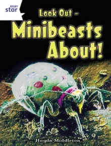 RIGBY STAR INDEPENDENT YEAR 2 WHITE LEVEL: LOOK-OUT: MINIBEASTS ABOUT!