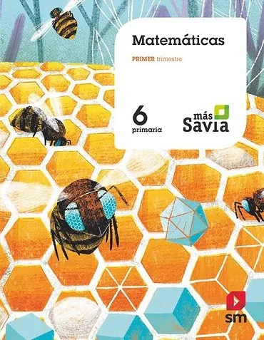 6º EP MATEMÁTICAS Mas SA 19