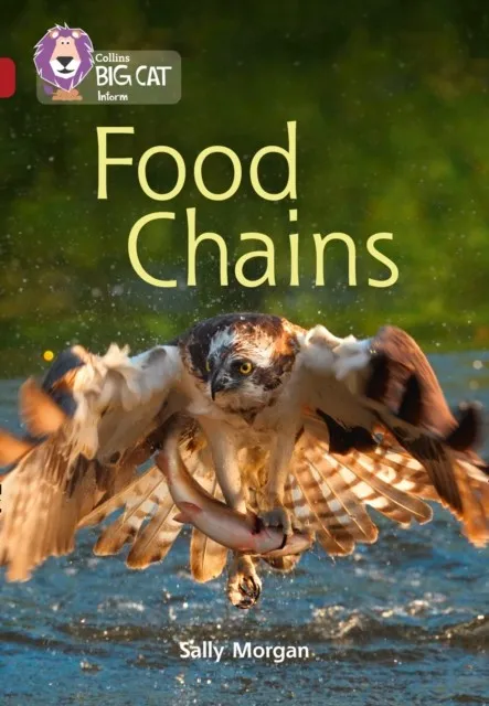 FOOD CHAINS -NON-FICTION-RUBY - BAND 14