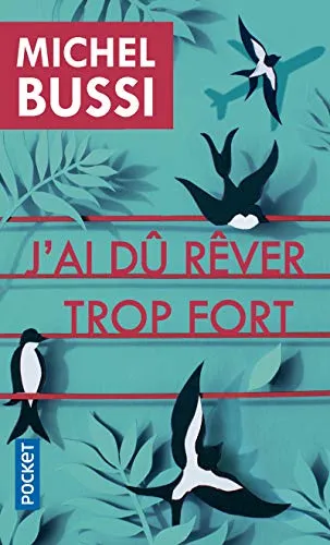 J AI DÛ RÊVER TROP FORT